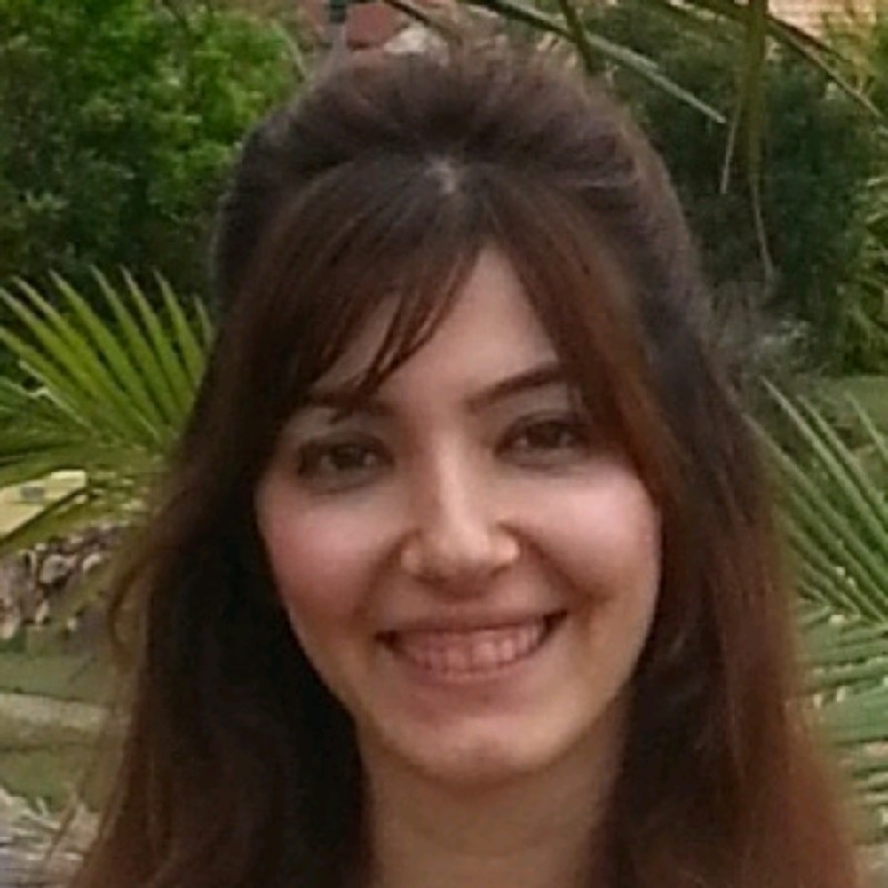 Image of Sima Bargrizan