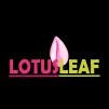 Lotus Leaf