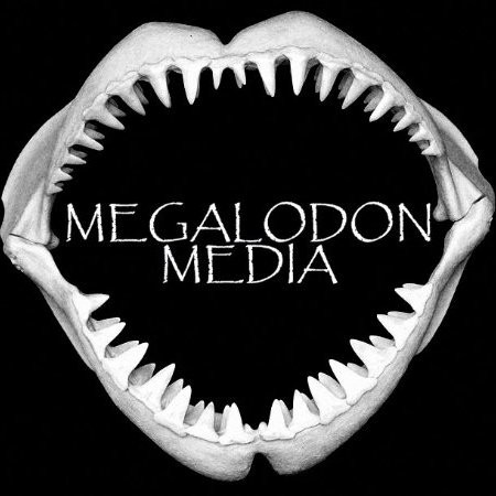 Image of Tmoe Megalodon