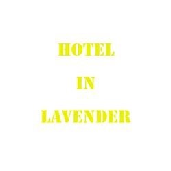 Contact Hotel Lavender