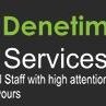 Denetim Services