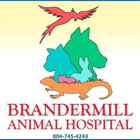Brandermill Hospital