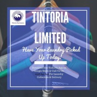 Contact Tintoria Cleaners