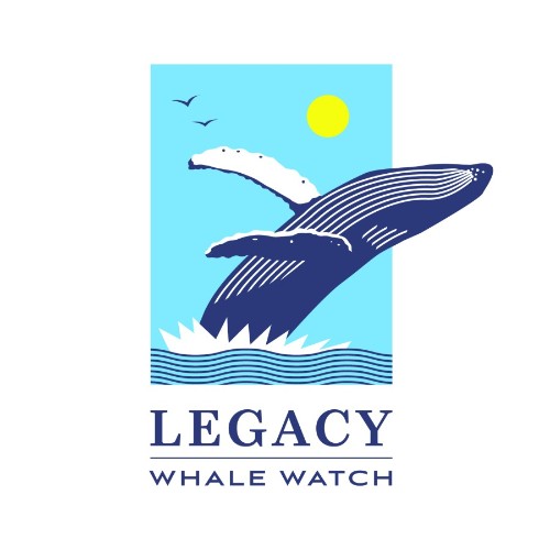 Contact Legacy Watch