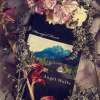 Angel Wolfe