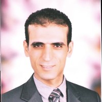 Amr Mohamed Hassanein