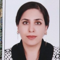 Contact Sepideh Mortazavi