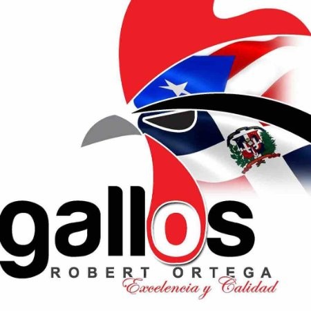 Contact Gallos Ortega