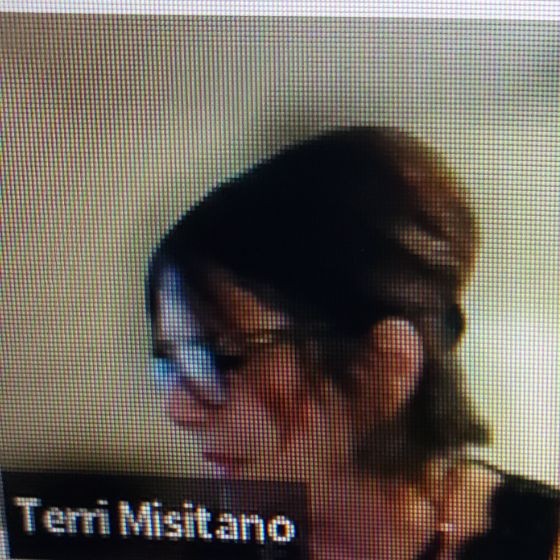 Contact Terri Misitano