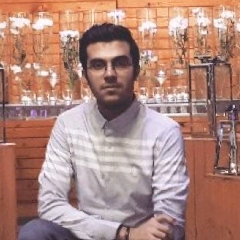 Amir Hasan Farzaneh