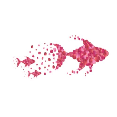 Contact Pink Fishes