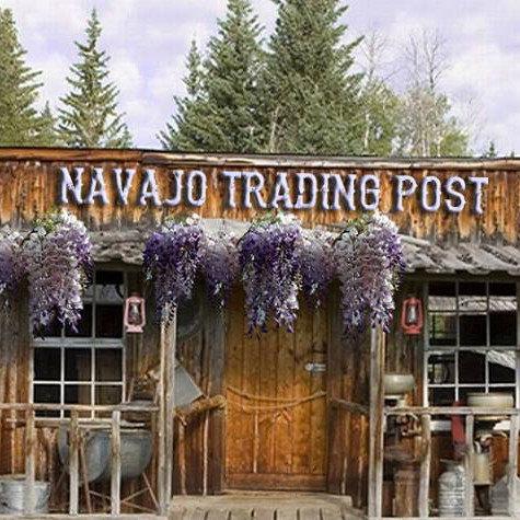 Contact Navajo Post