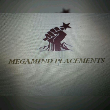 Image of Megamind Services