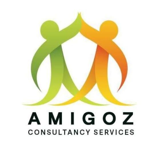 Amigoz Consultancy Services