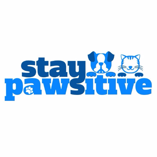 Contact Stay Pawsitive