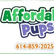 Contact Affordable Pup
