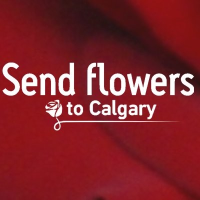 Contact Calgary Flowers