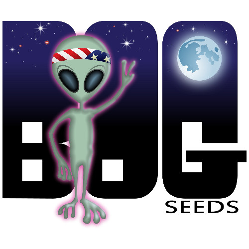 Contact Bog Seeds