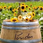 Contact Pindar Vineyards