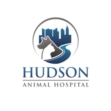 Hudson Animal