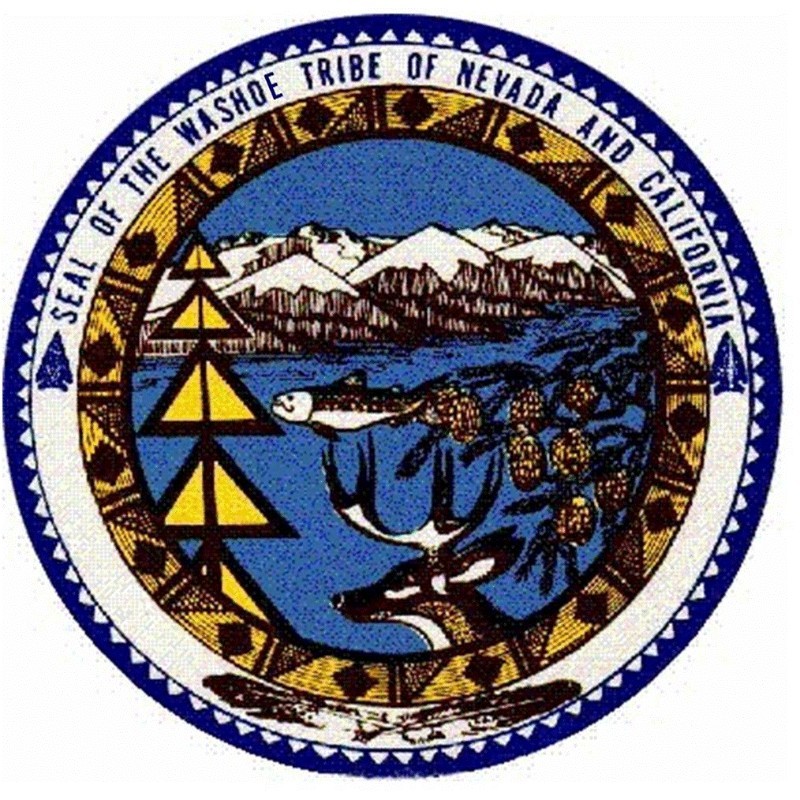 Image of Washoe Nativetanf