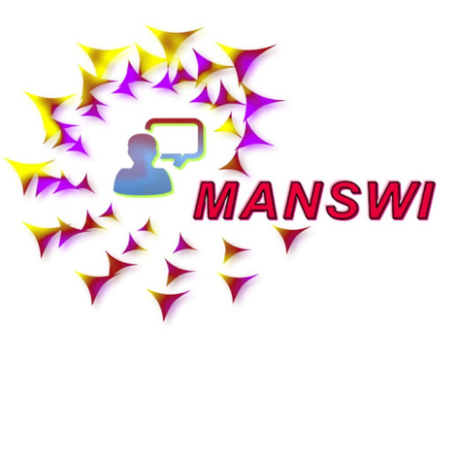 Manswi Infotech