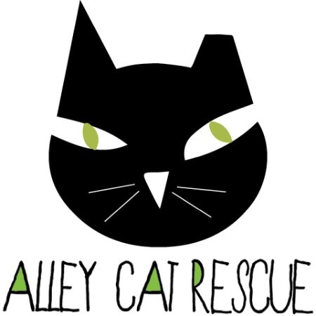 Contact Alley Rescue