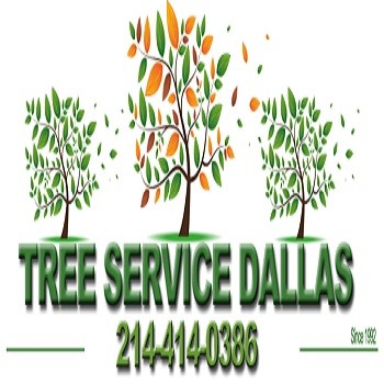 Contact Tree Dallas