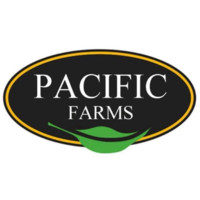 Pacific Egypt Email & Phone Number