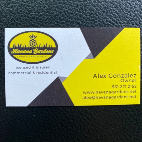 Contact Alex Gonzalez