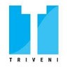 Triveni Group