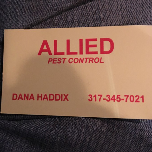 Contact Allied Pest