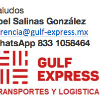 Contact Abel Salinas Gonzalez