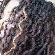 Contact Dreads By