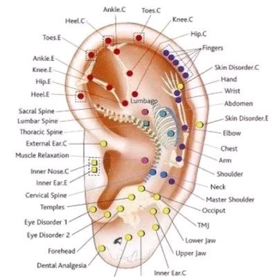 Image of Acupuncture Home